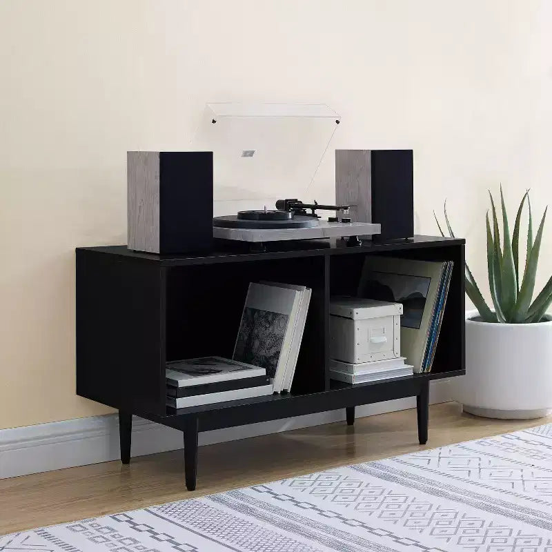 Medium Liam Record Storage Console Cabinet - Crosley