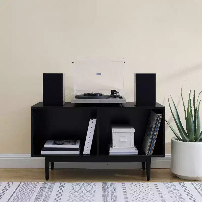 Medium Liam Record Storage Console Cabinet - Crosley